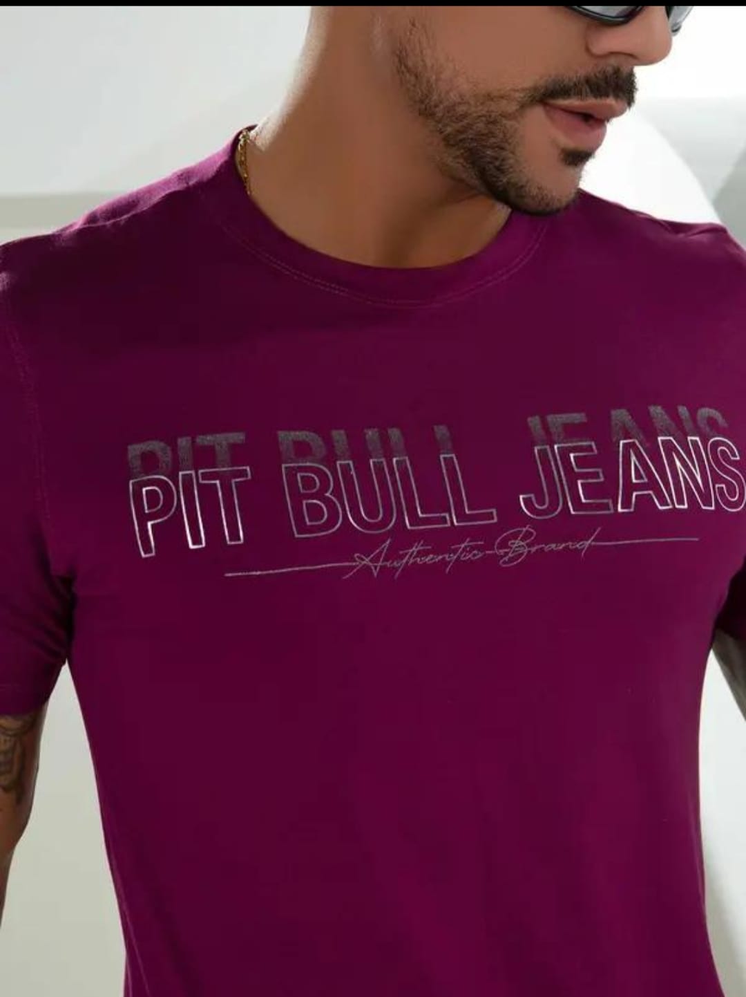 CAMISETA GOLA O PIT BULL ORIGINAL REF 82432
