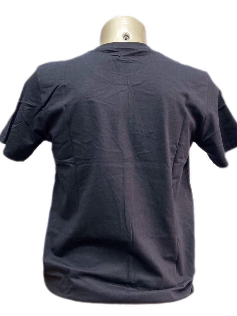 CAMISETA MASCULINA ECKO BROECKO REF EK071